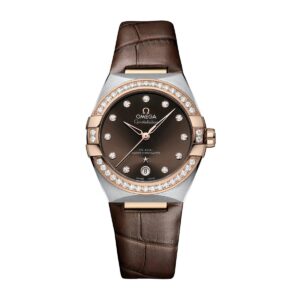 Omega 131.28.36.20.63.001 Seamaster Aqua Terra Co-Axial Brown Dial…